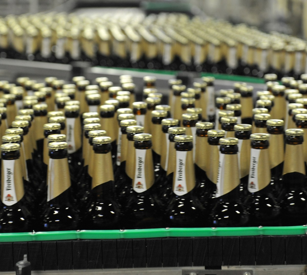 Zahlreiche braune Bierflaschen der Marke Freiberger mit goldener Halsfolie und Kronkorken stehen dicht auf einem Förderband.
