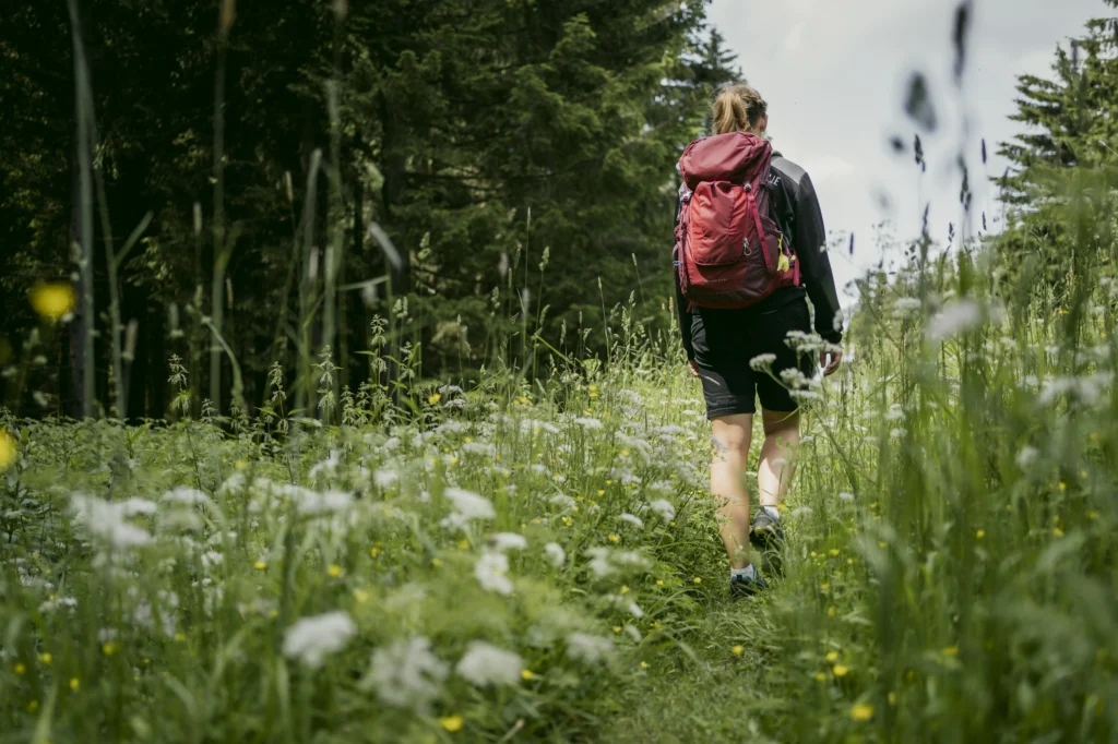 Einer Person mit Rucksack wandert auf einem Pfad durch eine Wiese, im Hintergrund Bäume und Himmel.